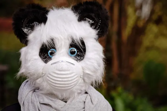 West Kasino Sokongan